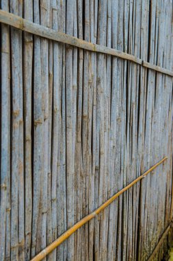 Tayland bambu duvarının arka planı