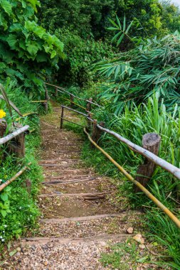Tayland, Tayland 'da bambu raylı ahşap merdivenler