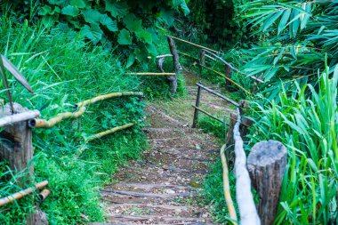 Tayland, Tayland 'da bambu raylı ahşap merdivenler