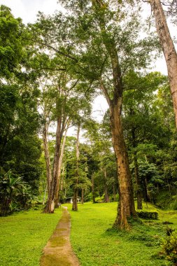 Tayland ulusal parkında küçük beton patika.