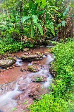 Champa Tanga Şelalesinde Su Akıyor, Tayland.