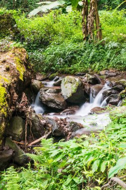 Champa Tanga Şelalesinde Su Akıyor, Tayland.