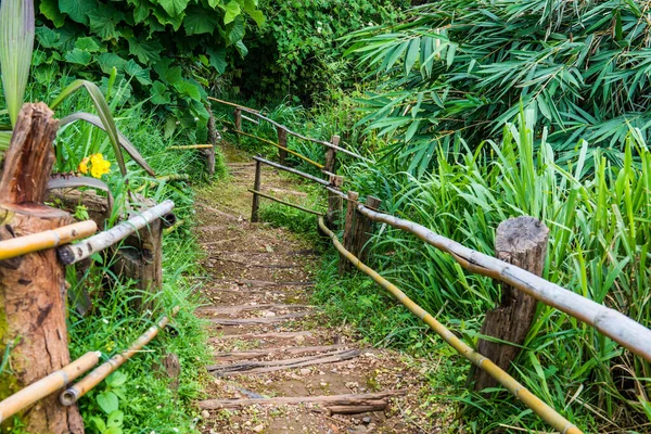Tayland, Tayland 'da bambu raylı ahşap merdivenler