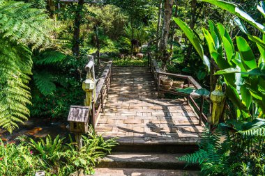 Küçük köprüsü olan park yeri, Tayland.