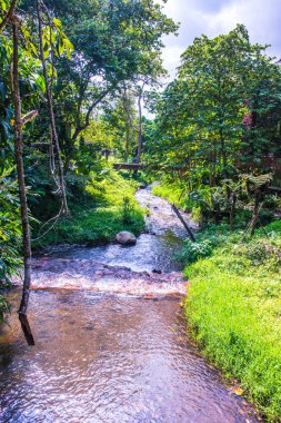 Küçük kanallı park, Tayland.