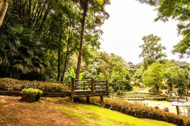 Mae Fah Luang bahçesinin manzarası, Tayland.