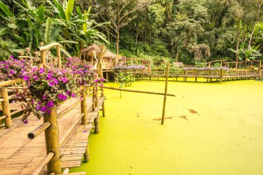 Mae Fah Luang bahçesinin manzarası, Tayland.