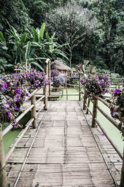 Mae Fah Luang bahçesinin manzarası, Tayland.