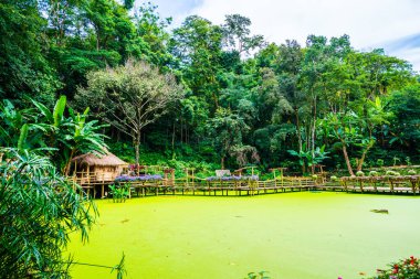 Mae Fah Luang bahçesinin manzarası, Tayland.