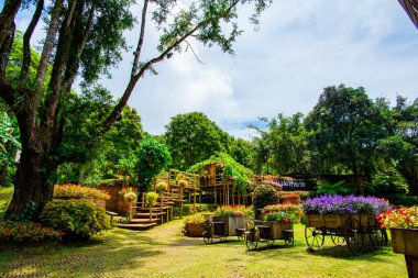 Chiang Rai bölgesindeki Mae Fah Luang Bahçesi, Tayland.