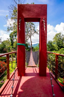 Mae Fah Luang Bahçesinde Ağaç Tepesi Yürüyüşü, Chiang Rai.