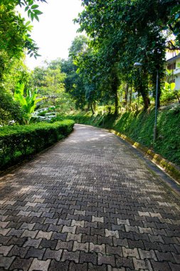 Bahçede yürü, Tayland 'da.