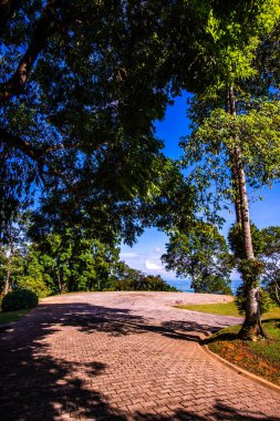 Dağ manzaralı helikopter pisti, Chiang Rai vilayeti..