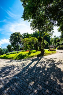 Chiang Rai bölgesindeki Doi Tung Kraliyet Konağı 'nda güzel bir park..
