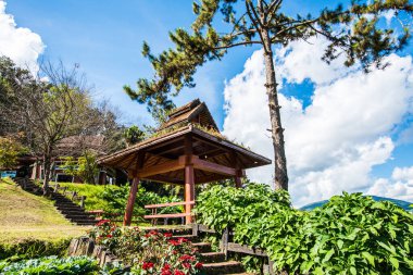 Huai Nam Dang Ulusal Parkı, Tayland Manzarası.