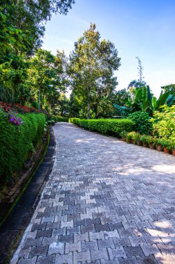 Chiang Rai bölgesindeki Doi Tung Kraliyet Konağı 'nda güzel bir park..