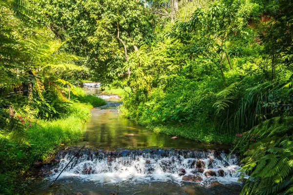 Küçük kanallı park, Tayland.