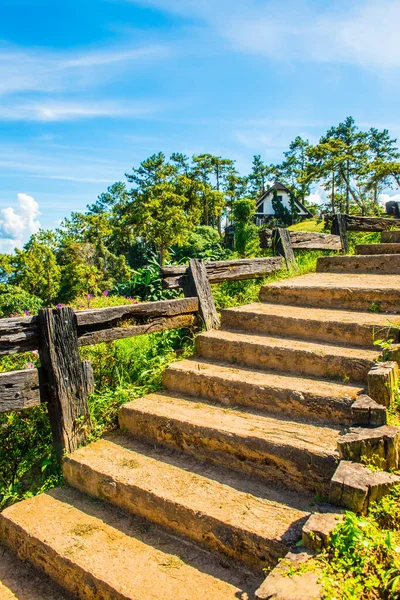 stock image Concrete stair in national park, Thailand.