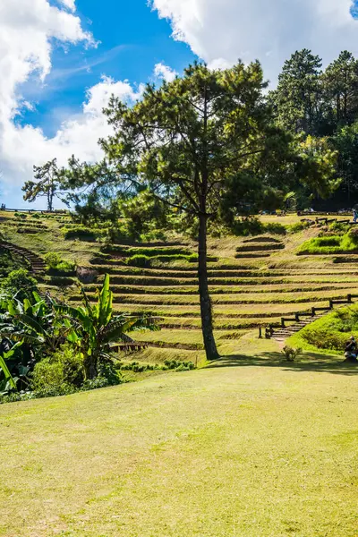 Huai Nam Dang Milli Parkı, Tayland.