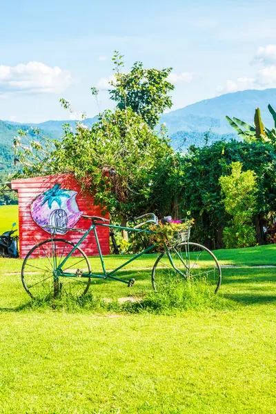 Old bicycle on green grass, Thailand.