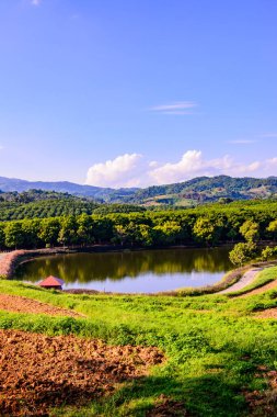 Tayland 'ın Chiang Rai eyaletindeki güzel park..
