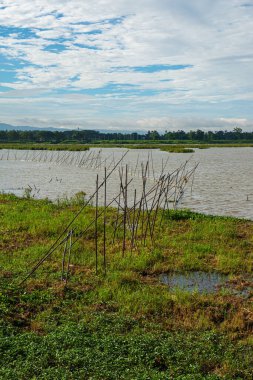 Kwan Phayao Gölü manzarası, Tayland.