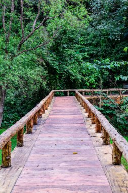 Phu Sang Ulusal Parkı, Phayao Eyaleti.