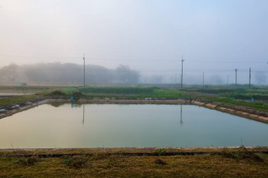 Tayland 'ın Phayao eyaletinde kış mevsiminde sisli balık havuzu.
