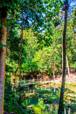 Doi Phu Nang Ulusal Parkı, Tayland.