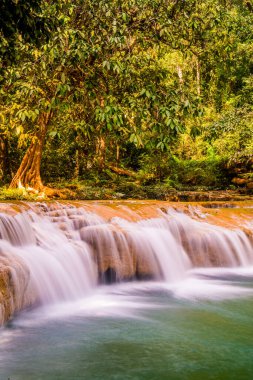 Tansawan Şelalesi Doi Phu Nang Ulusal Parkı, Tayland.