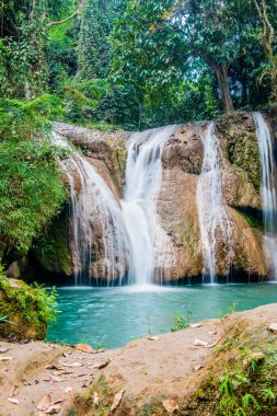 Tansawan Şelalesi Doi Phu Nang Ulusal Parkı, Tayland.