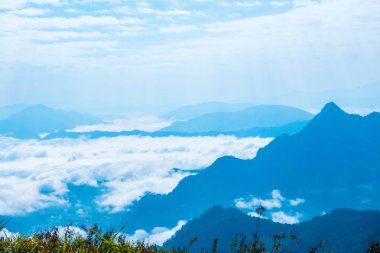 Chiangrai Eyaleti, Tayland 'daki Phu Chi Fa Manzara Noktasında Sis Denizi.