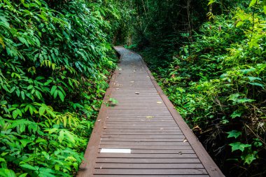 Phu Sang, Tayland 'da doğa yolu..