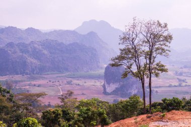 Phu Langka Ulusal Parkı, Tayland Güzel Manzarası.