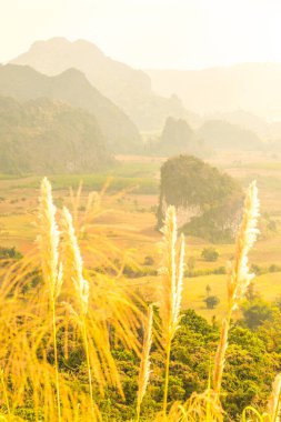 Phu Langka Ulusal Parkı, Tayland Güzel Manzarası.