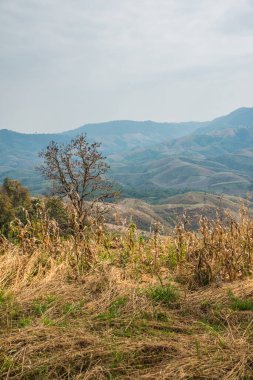 Tayland 'ın Phayao eyaletindeki dağ manzarası.
