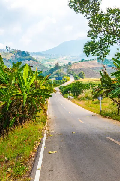 Tayland 'ın Phayao eyaletinde dağdaki yol.