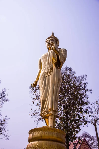 Phra 'da yürüyen altın Buda heykeli. Khao Noi tapınağı, Tayland.