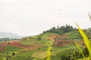 Tayland, Tayland 'da doğal manzara.