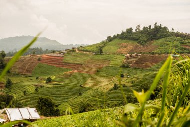 Tayland, Tayland 'da doğal manzara.