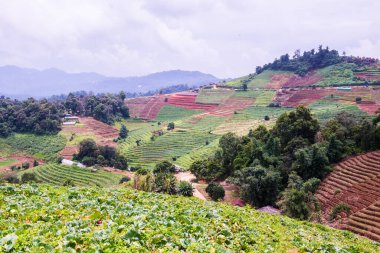 Tayland, Tayland 'da doğal manzara.