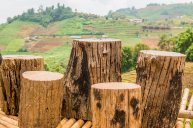 Oturmak için ahşap kütükler, doğal manzara, Tayland.
