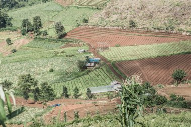 Tayland, Tayland 'da doğal manzara.