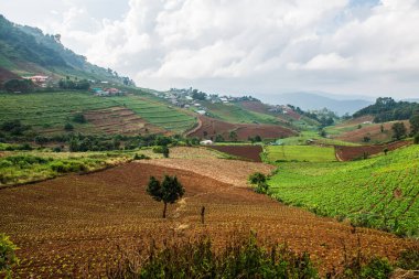 Tayland, Tayland 'da doğal manzara.