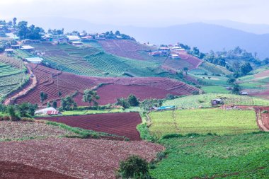 Tayland, Tayland 'da doğal manzara.
