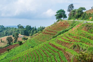 Tayland, Tayland 'da doğal manzara.