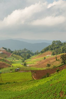 Tayland, Tayland 'da doğal manzara.