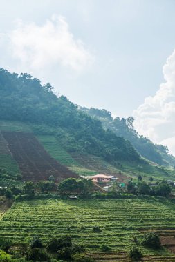 Tayland, Tayland 'da doğal manzara.