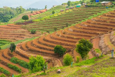 Tayland, Tayland 'da doğal manzara.