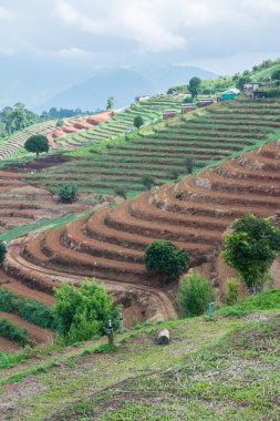 Tayland, Tayland 'da doğal manzara.